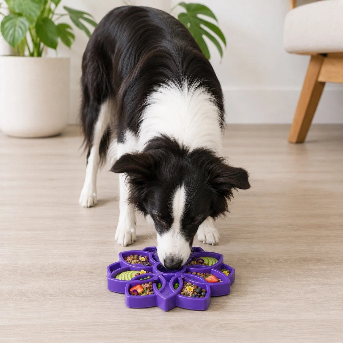 Slow Feeders and Lick Mats For Dogs